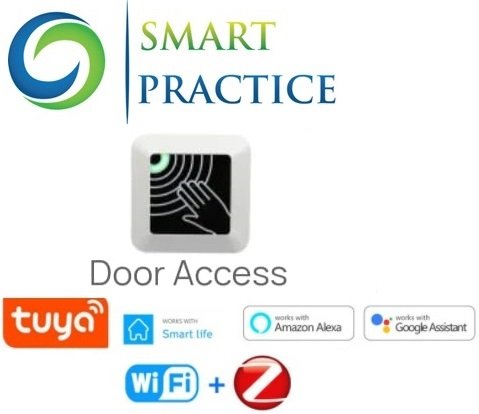 Door Access Door Access - Image 1