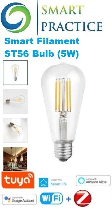 Filament Bulb ST56 5W DW - Filament ST56 5W DW Filament Bulb ST56 5W DW - Filament ST56 5W DW - Image 1