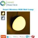 RGBW Wall Lamp - G13336 RGB+W