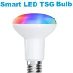 Smart Bulb -LED-TSG-9BR80