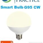 Smart bulb G95 CW- G95E27C-1412WF-830 65E-B