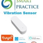Vibration Sensor