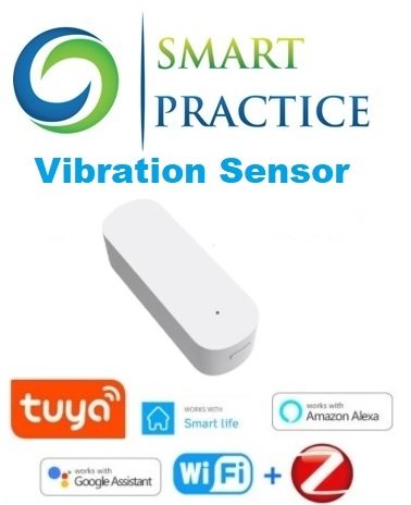 Vibration Sensor Vibration Sensor - Image 1