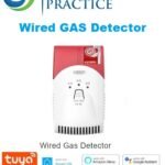 WIRED GAS DETECTOR