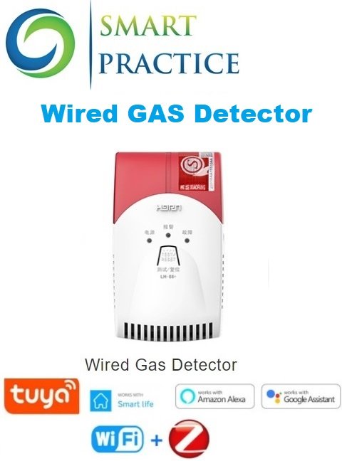 WIRED GAS DETECTOR WIRED GAS DETECTOR - Image 1