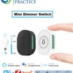 Zigbee WiFi Smart Switch Light Dimmer Mini 2 Way Module DIY On Off Can Timing Control Wireless Breaker For Google Home Alexa